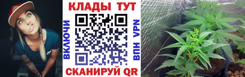Все наркотики Далматово блэк спрут онион  МАРИХУАНА  COCAIN  СОЛЬ 