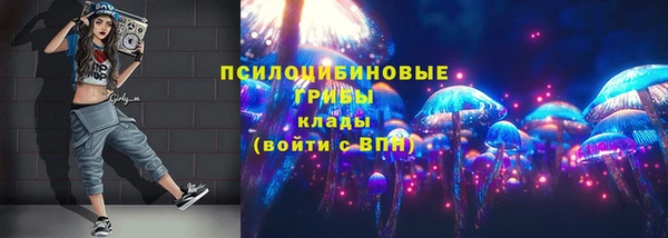 прущие крисы Гусев
