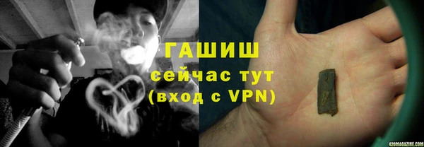 прущие крисы Гусев