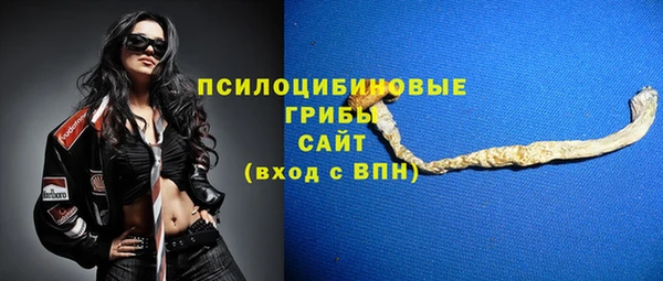 меф Гусь-Хрустальный