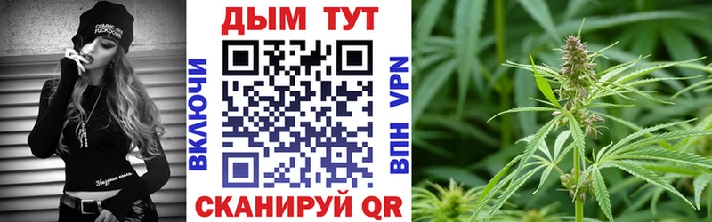 Бошки Шишки ГИДРОПОН  Далматово 